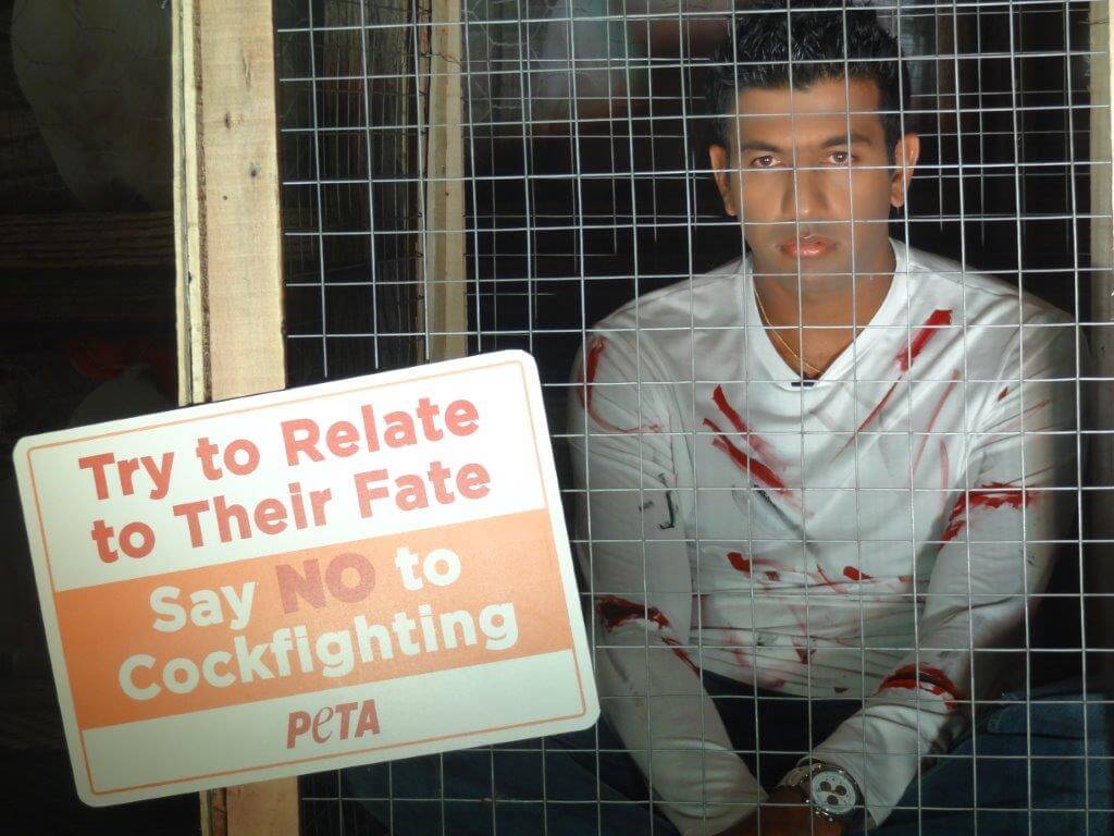 Rohan Bopanna caged himself as part of PETA India's campaign against cockfighting.