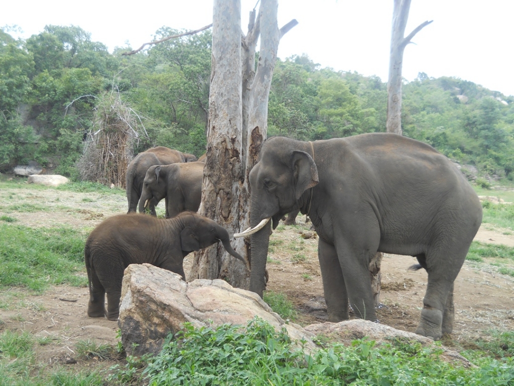 17 pic of sunder journey feature