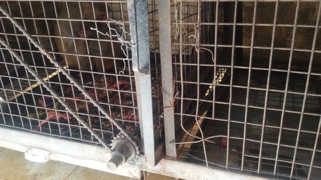 Sharp iron mesh on the broken part of a cage