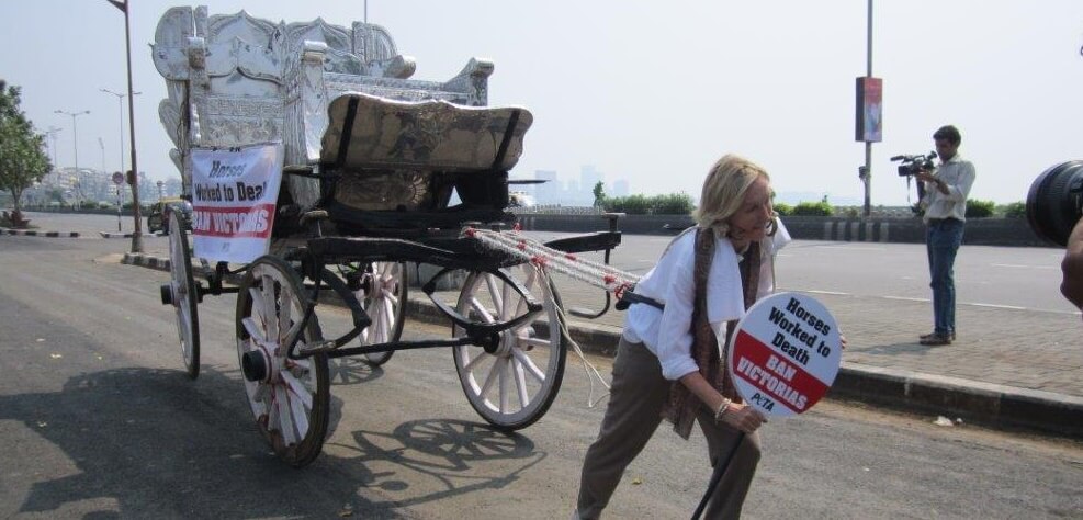 Ingrid-campaign-horse-carriages-Bomday
