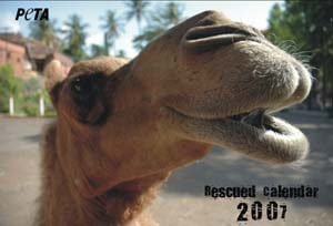 PETA India Releases Rescued Calendar 2007