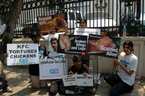 PETA Demonstrate Outside KFC