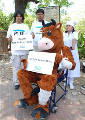 The Dark Side of Dairy