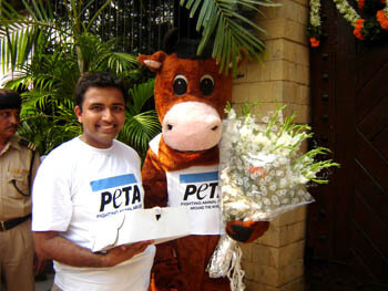 PETA’s Cow Mascot ‘Radha’ Wishes Amitabh Bachchan on His Birthday