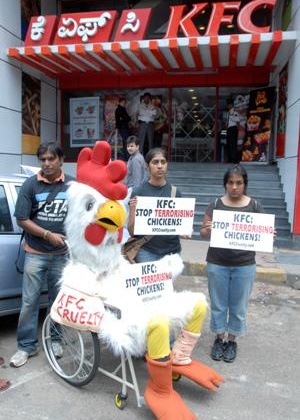 PETA’s Crippled Chicken protests outside KFC Bangalore