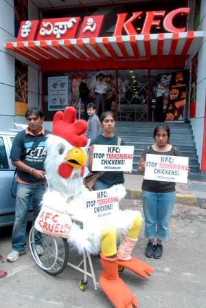 PETA's Crippled Chicken protests outside KFC Bangalore - Blog - PETA India