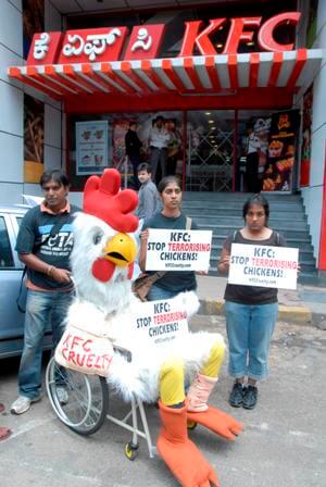 PETA's Crippled Chicken protests outside KFC Bangalore - Blog - PETA India PETA's Crippled Chicken protests outside KFC Bangalore - Blog - PETA India