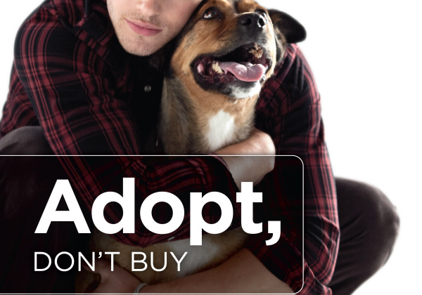 Twilight Star Takes a “Bite” Out of Animal Overpopulation in New Ad