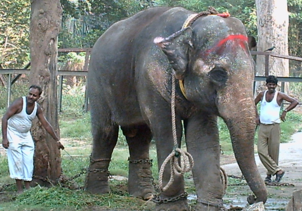 Celina Jaitley Says ‘No’ to Zoos