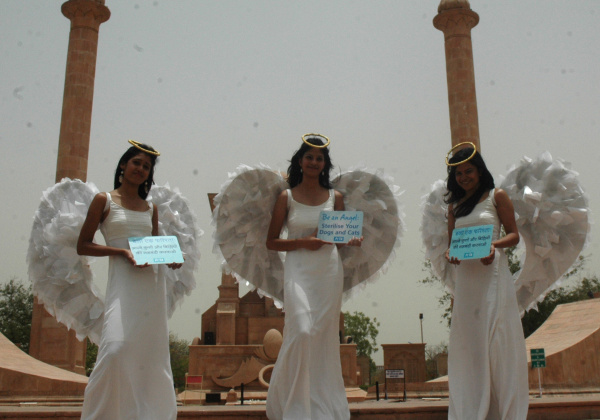 The Angelic Affair in Jaipur
