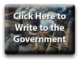 Click Here to Write to the Government