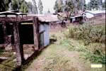 Inadequate Bird Enclosure Has No Security From the Near-By Village