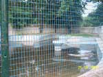 Crocodile Enclosure is Inadequate - Also, Contains Dirty Water