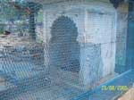 Water Bird Cage Consists of Wire Mesh