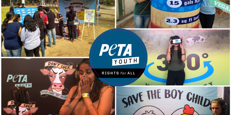 PETA Youth Wants YOU!