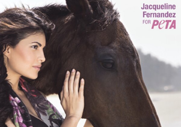 Jacqueline Fernandez in Sexy Ad to Help Horses