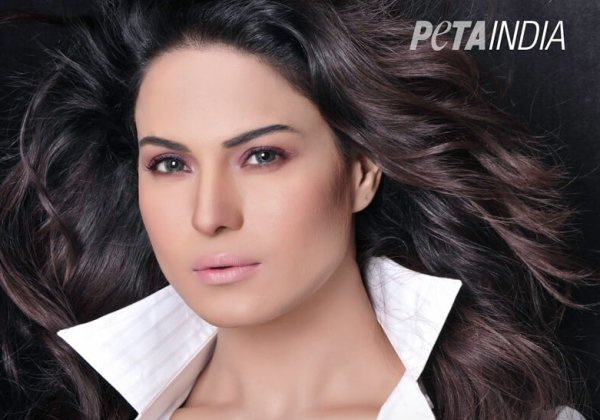 ‘Big Boss’ Babe Veena Malik Goes Vegetarian