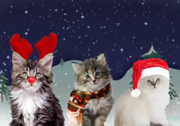 We Wish You a Meowy Catmas