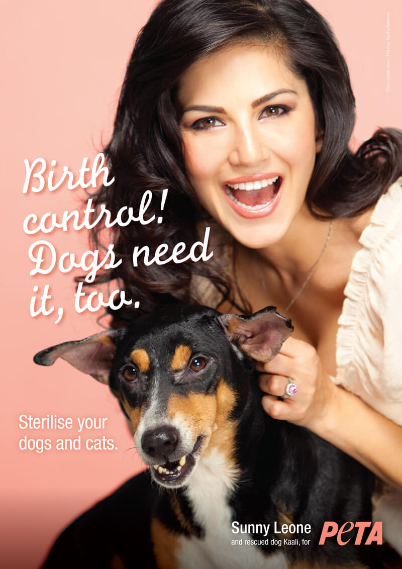 Sunny Leone Dog Xnxx - Sunny Leone's Sexy Spay and Neuter Ad - Blog - PETA India