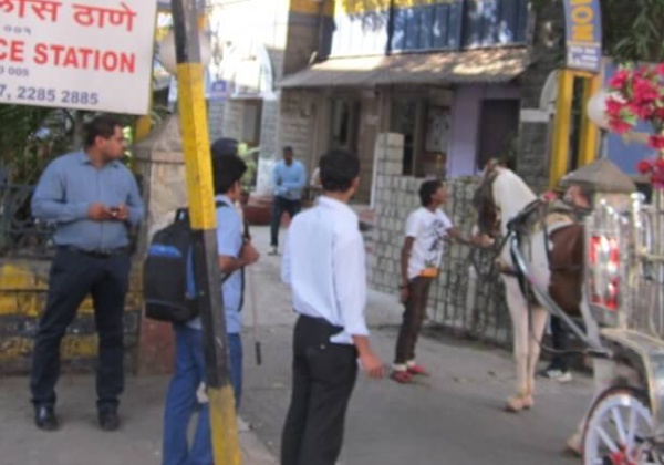 Victoria Horse Confiscated by PETA