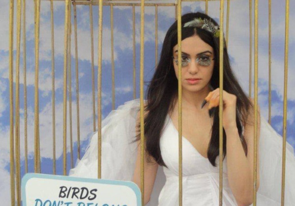 Adah Sharma Jailed for Caged Birds