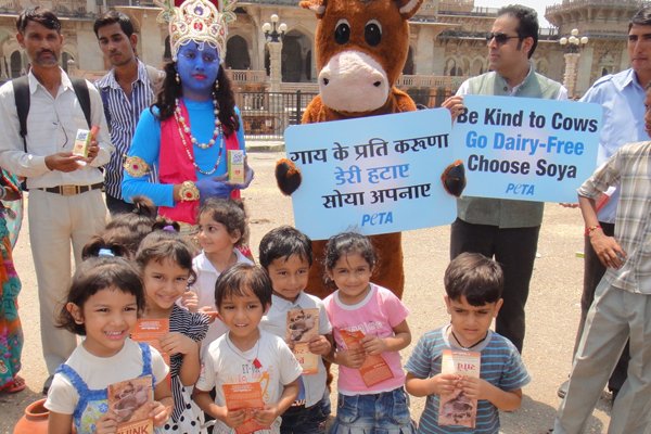 Help Save Cows This Janmashtami