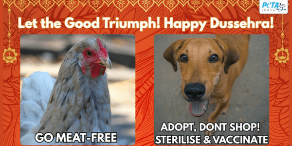Five Ways to Make Dussehra a Win for Animals Too!