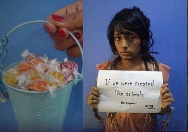 Helping Animals Can Be a Scream at Halloween
