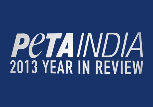 PETA’s 2013 End-of-Year Video