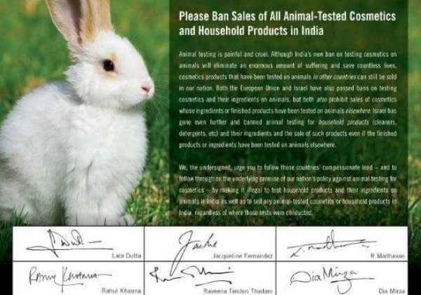 Stars Want End to Product Tests on Animals
