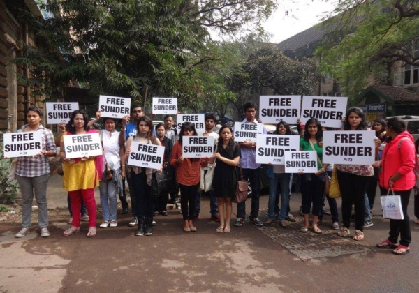 High Court Adjourns Sunder Case