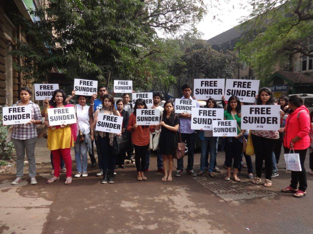 Protest outside Bombay High Court 1