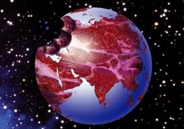 Earth Hour Food for Thought