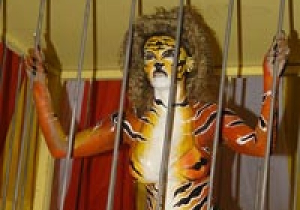 Rakhi Sawant Strips Down to Stripes for Animals Used in Circuses