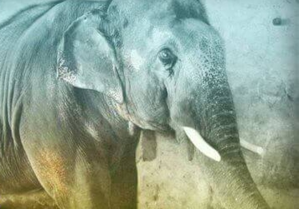 Sunder Update
