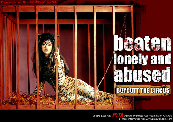 Shilpa Shetty Speaks Up About Cruelty to Animals in Circuses
