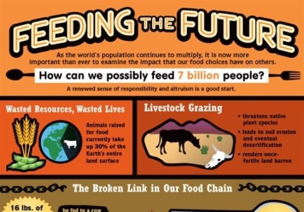 Feeding the Future (Infographic)