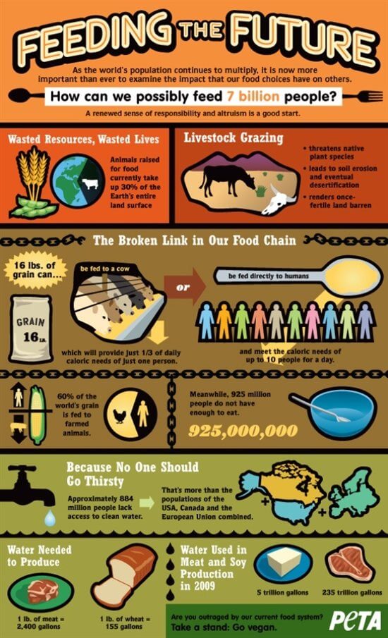 Feeding the Future (Infographic) - Blog - PETA India