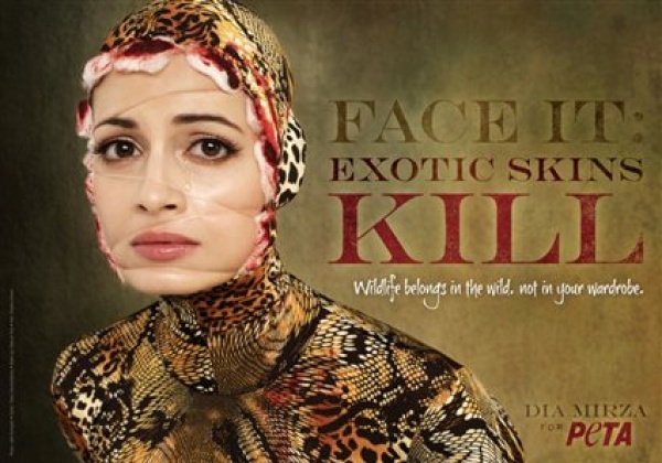Dia Mirza Urges Fans to Shed Skins