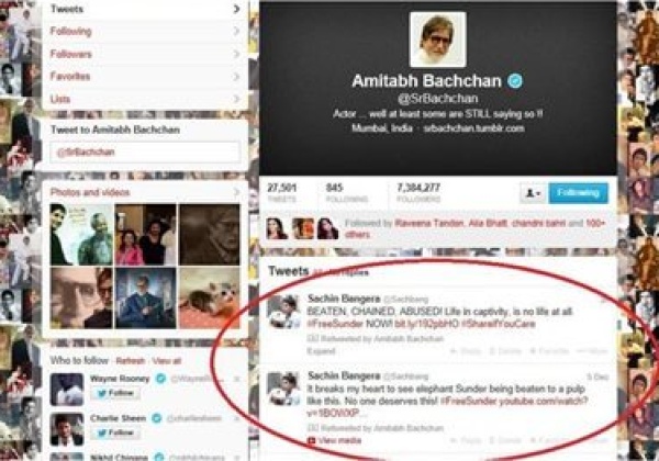 Celebrities Want to #FreeSunder