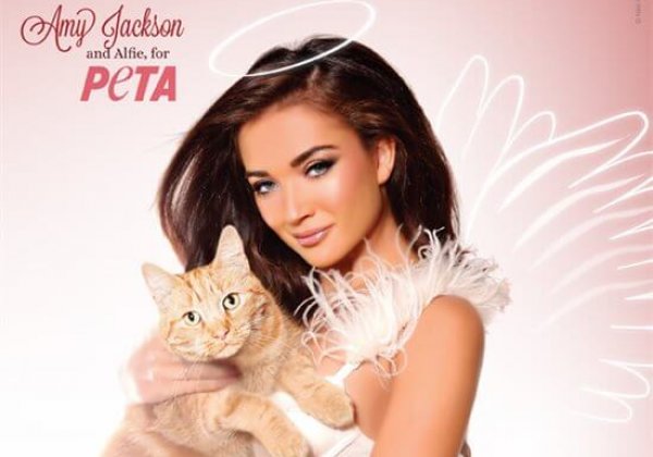 Amy Jackson Wants You to Adopt