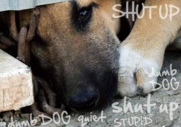 Bite Back Against Bullying