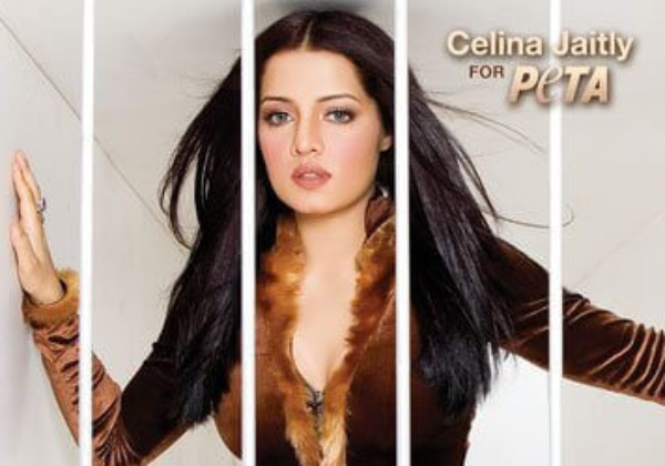 Celina Jaitly Caged … to Help Animals in Zoos