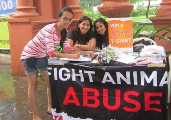 Girl Power for Animals at Kaleidoscope