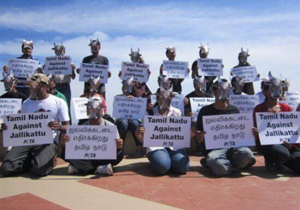 John Abraham to MoEF:Enforce Jallikattu Ban