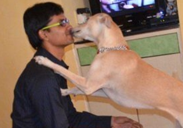 10 Reasons Why My Dog Is My Valentine