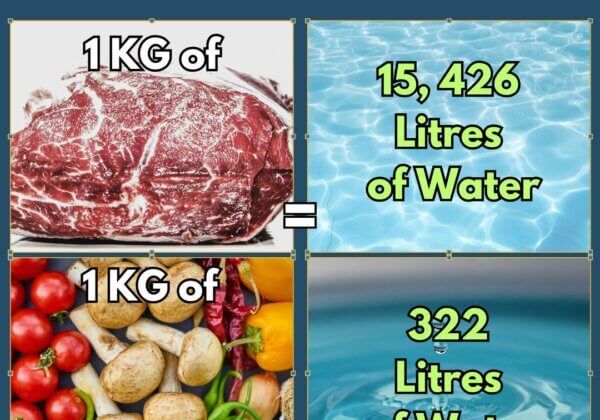 Easy Ways to Save Water!