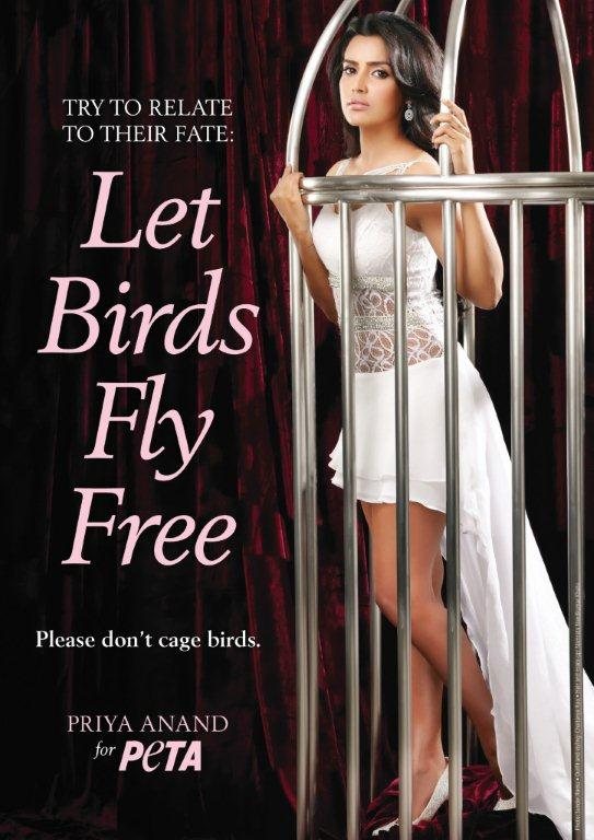 Priya Anand Speaks Up for Caged Birds in New Ad - Blog - PETA India