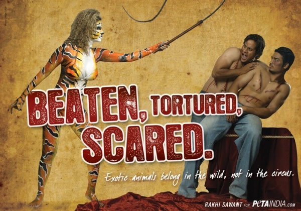 Rakhi Sawant Strips Down to Stripes for Circus Animals