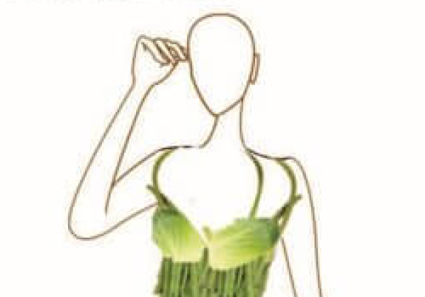 Winner of Lettuce Dress Design Contest Is